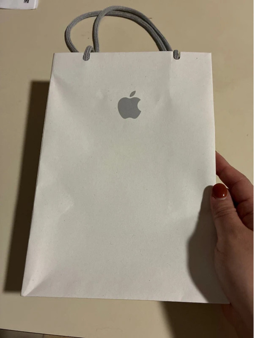 Apple Store bag only